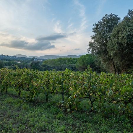 Casa Rural El Bruguer Vell Santa Eulalia de Ronsaná Exteriör bild