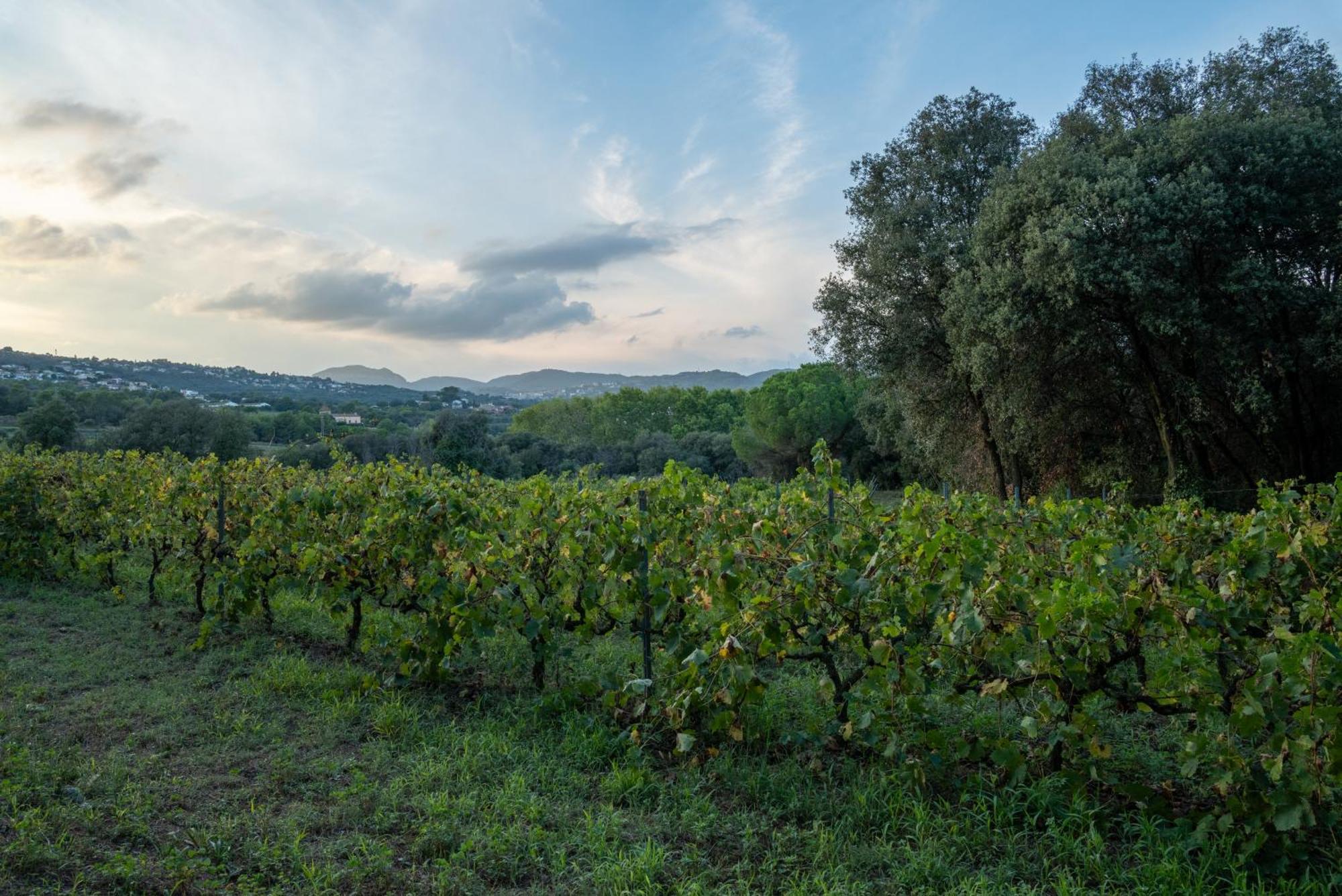 Casa Rural El Bruguer Vell Santa Eulalia de Ronsaná Exteriör bild